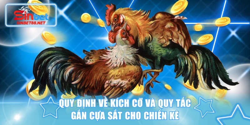 Quy định về kích cỡ và quy tắc gắn cựa sắt cho chiến kê